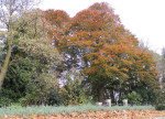 ingang pastorietuin Burg J C van den Bergplein